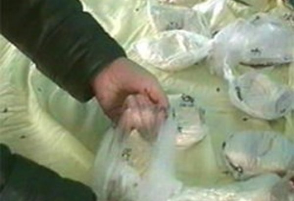 ООН разработало проект региональной программы по борьбе с наркотиками в Центральной Азии