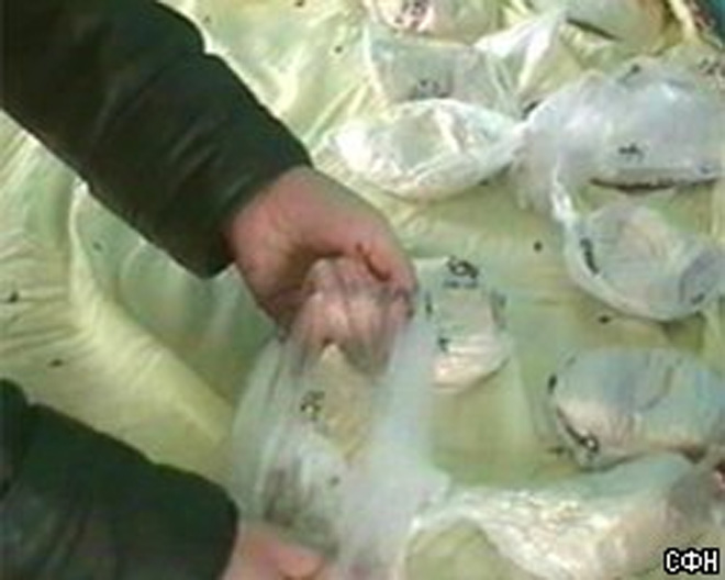 В Иране обезврежены 1383 группировки, занимающиеся контрабандой наркотиков