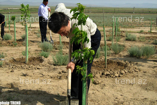 Азербайджанский  министр - экстремал издал три книги (фотосессия)