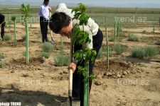 Азербайджанский  министр - экстремал издал три книги (фотосессия)