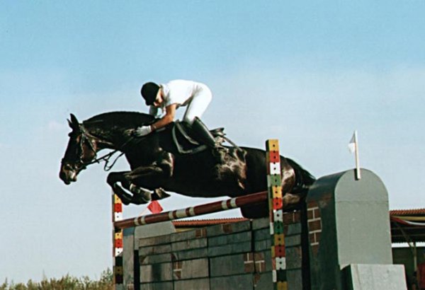 В Баку пройдет Кубок мира по конному поло