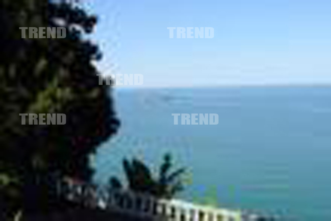 Гражданин Ирана стал 700-тысячным туристом Аджарии