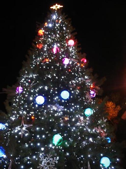 В Ливане установили рождественскую елку из тонны бананов