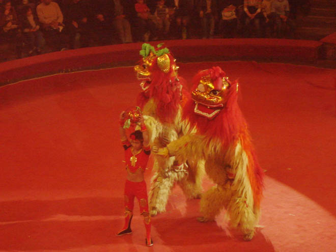 Животные передвижного цирка задохнулись в Якутии выхлопными газами