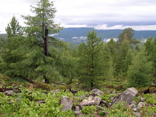 В Азербайджане расширяются полномочия муниципалитетов