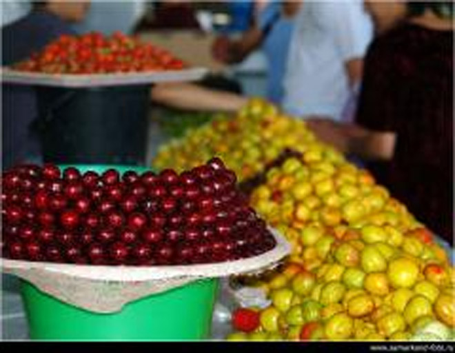 Казахстан усилил контроль за овощами из Германии и Испании