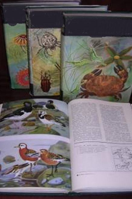 Создается каталог животного мира Азербайджана