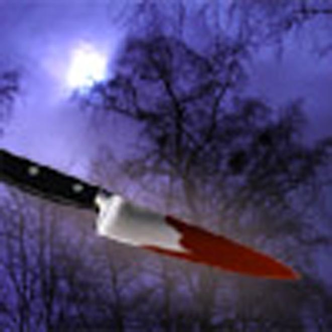 Мадонну зарезал продавец овощей из Баку