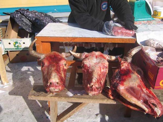 Не нужен им берег каспийский…