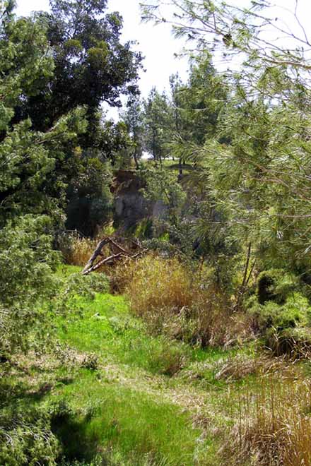 В Туркменистане назначен новый министр охраны природы