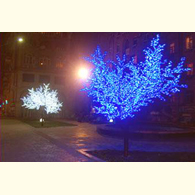 Баку опасен для жизни