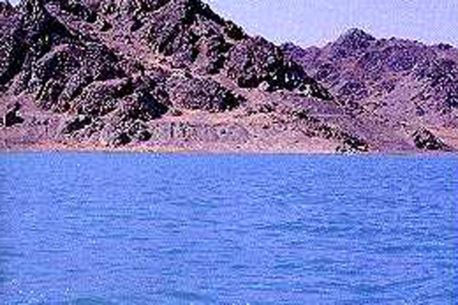 49-летняя американка плавала в океане 19 часов