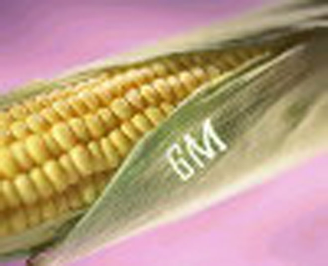 Еще немного - и мы станем светиться