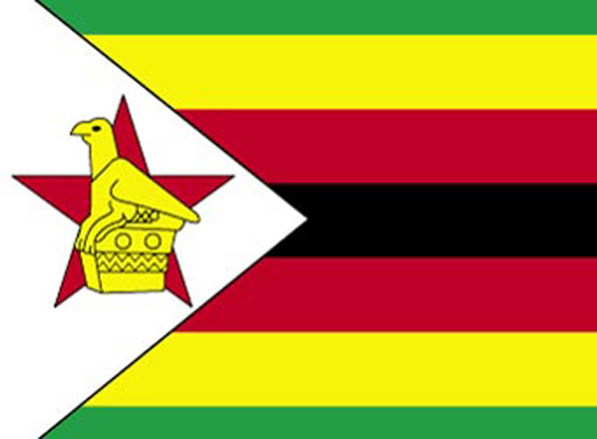 Музейный тренинг в Зимбабве закончился