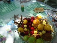 Гирканский парк может быть внесен в список экологических памятников ЮНЕСКО