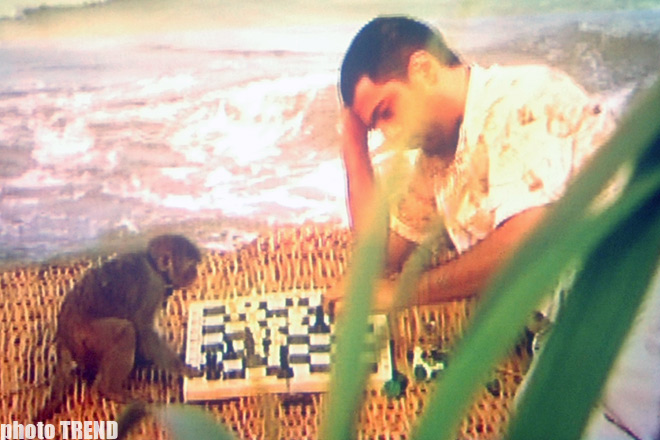 Мейханачы Намик Гарачухурлу вместо русалки снялся с обезьяной (фотосессия)