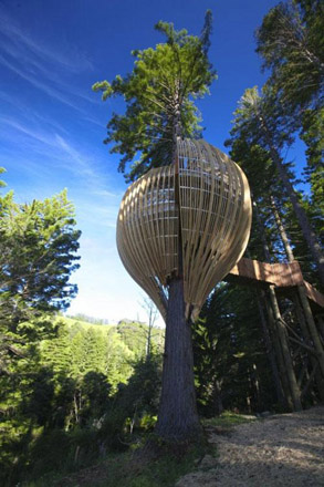 В Новой Зеландии открылся ресторан-гнездо (фотосессия)