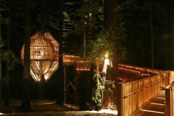 В Новой Зеландии открылся ресторан-гнездо (фотосессия)