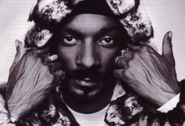 Несколько десятков человек пострадали на концерте рэппера Снуп Догга