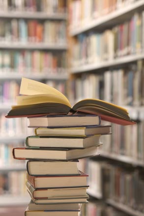 От грузинской княжны до грустных шлюх – самые продаваемые книги 2008 года
