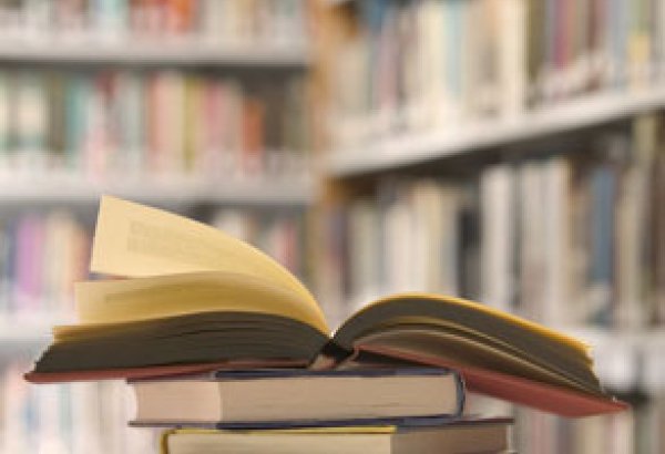 В Азербайджане пиратство наиболее распространено в издательской и аудиовизуальной сфере