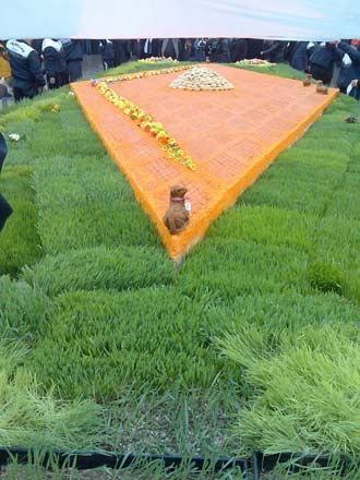 Изготовленная в Гяндже пахлава попала в книгу рекордов (фотосессия)