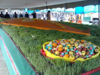 Изготовленная в Гяндже пахлава попала в книгу рекордов (фотосессия)