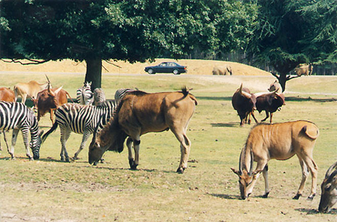 В Казахстане создан еще один национальный природный парк