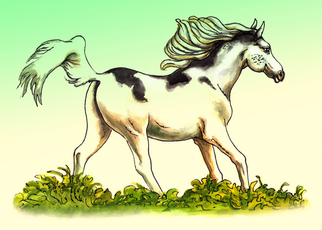 "Кони" Исмаила Мамедова опубликованы в нью-йоркской газете