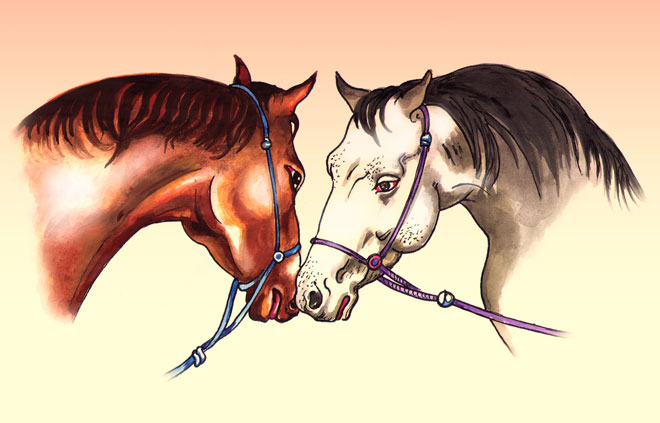 "Кони" Исмаила Мамедова опубликованы в нью-йоркской газете