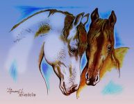 "Кони" Исмаила Мамедова опубликованы в нью-йоркской газете