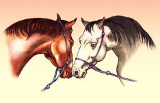 "Кони" Исмаила Мамедова опубликованы в нью-йоркской газете