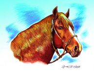 "Кони" Исмаила Мамедова опубликованы в нью-йоркской газете