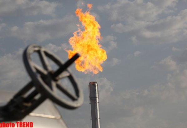 Азербайджан, Грузия, Румыния и Венгрия выразили полную поддержку газовому проекту AGRI