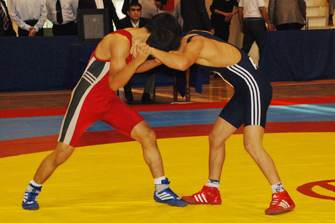 Азербайджанские борцы завоевали три медали на международном турнире в Стамбуле