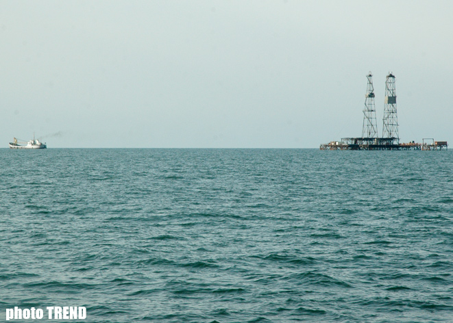 Борьба против вредоносного мнемиопсиса в водах Каспия дала первые результаты - минэкологии