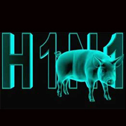 Свиной грипп проник в сектор Газа