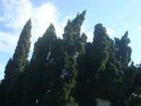 Столетие великого азербайджанского художника отметили в его поселке (фотосессия)