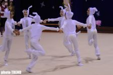 В Баку прошел новогодний бал гимнастики "Счастливое окончание года - 2009" (ФОТОСЕССИЯ)