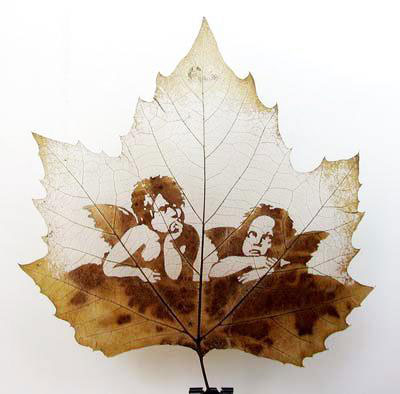 Шедевры на древесных листьях (фотосессия)