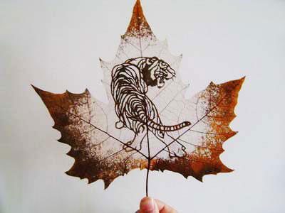 Шедевры на древесных листьях (фотосессия)