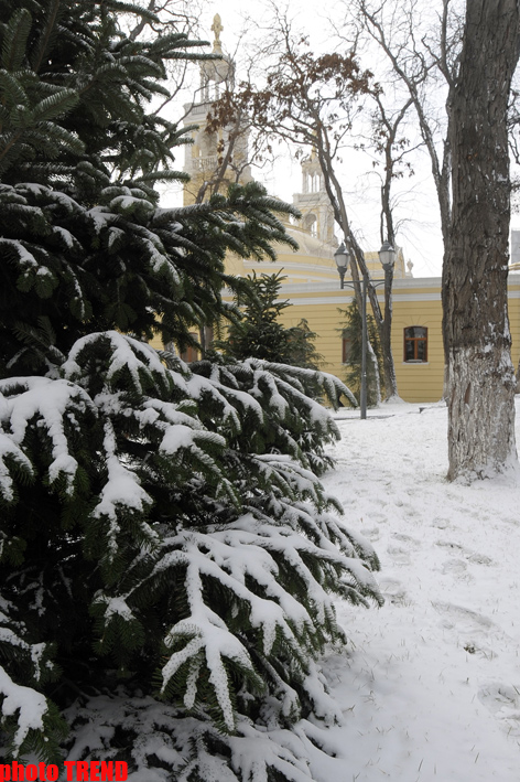 Заснеженный и заледенелый пейзаж Баку (фотосессия)
