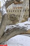 Заснеженный и заледенелый пейзаж Баку (фотосессия)