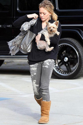 10 самых милых собачек знаменитостей (фотосессия)