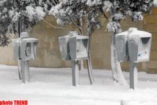 Снежный коллапс в Баку: света нет, хлеба нет, транспорт в режиме стопора (фотосессия)