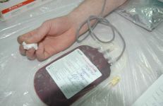 В компании "Avromed" проходит благотворительная акция по сдаче крови (фотосессия)