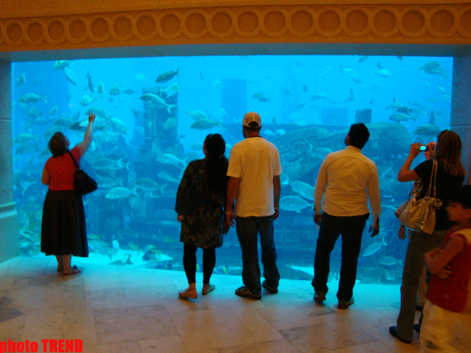 В Азербайджанском Дубае, или Как сбываются сны шейхов  (фотосессия, часть третья)