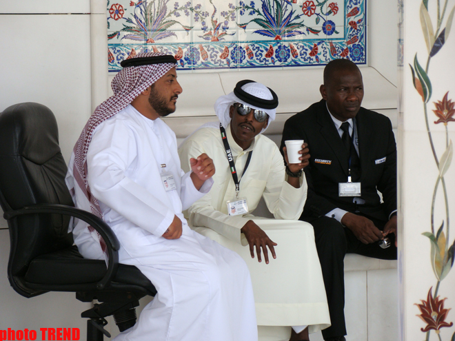 В Азербайджанском Дубае, или Как сбываются сны шейхов  (фотосессия, часть третья)