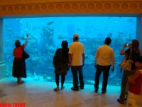 В Азербайджанском Дубае, или Как сбываются сны шейхов  (фотосессия, часть третья)