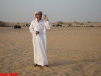 В Азербайджанском Дубае, или Как сбываются сны шейхов  (фотосессия, часть третья)